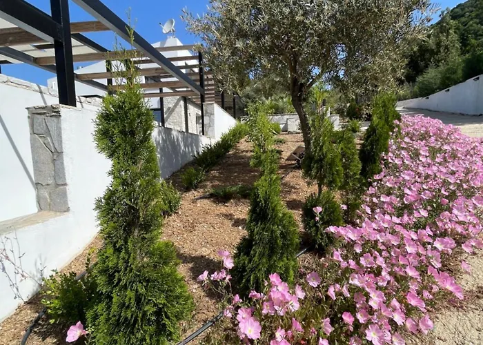 Allure Luxury 2, Skiathos Villa Moni Evaggelistrias