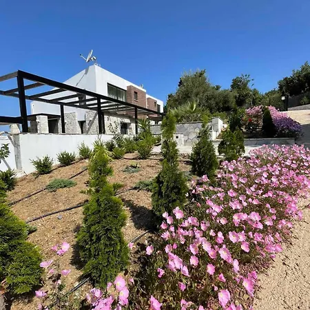 Allure Luxury 2, Skiathos Villa Moni Evaggelistrias