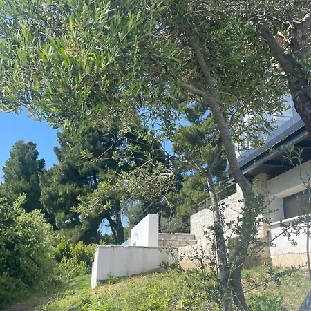 Vila Allure Luxury 2,
